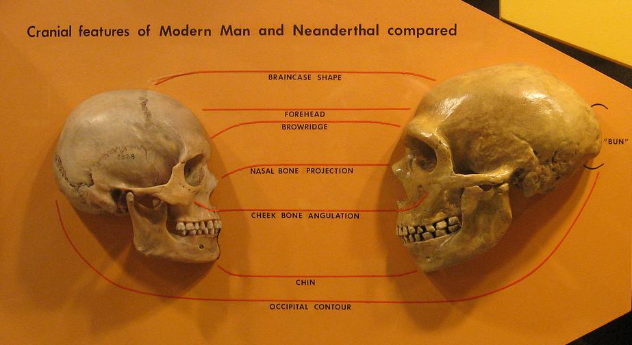 Dr Cheikh Anta Diop discusses of man and civilization - Both began in Africa.