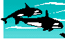 MARINE LIFE STUDIES